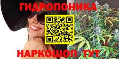 круглые Лесосибирск