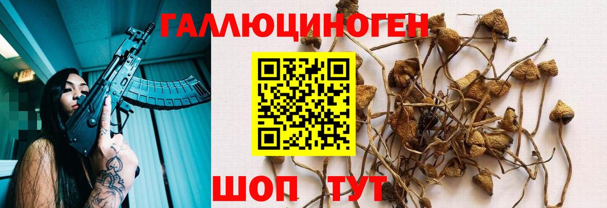 Псилоцибиновые грибы Psilocybe  Галлюциногенные грибы мухоморы  Вход с VPN  Юрга 